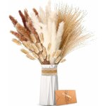 Pampasgras Getrocknet - Natürliche Trockenblumen, Braun、Weiß Pampasgras Flauschige Wedel, Lagurus und Schilfblume Trockenbl 2