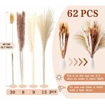 Pampasgras Getrocknet - Natürliche Trockenblumen, Braun、Weiß Pampasgras Flauschige Wedel, Lagurus und Schilfblume Trockenbl 3