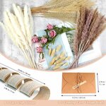 Pampasgras Getrocknet - Natürliche Trockenblumen, Braun、Weiß Pampasgras Flauschige Wedel, Lagurus und Schilfblume Trockenbl 4