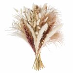 Lockerer Trockenblumenstrauß aus weißem und braunem Pampasgras, Bunny Tails und Federgras, freigestellt