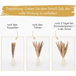 Pampasgras Deko Trocken 44cm hoch - schöner Pampasstrauß Stockholm (80 Teile) 5