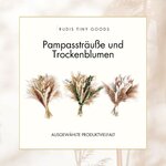 Pampasgras Deko Trocken 44cm hoch - schöner Pampasstrauß Stockholm (80 Teile) 8