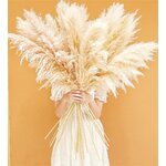 10 Pampas Grass XXL, Deko Gross für Boho DekoWohnzimmer Tisch Schlafzimmer Hochzeits Badezimmer (100cm) 100cm-10-A 2