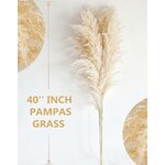 10 Pampas Grass XXL, Deko Gross für Boho DekoWohnzimmer Tisch Schlafzimmer Hochzeits Badezimmer (100cm) 100cm-10-A 3