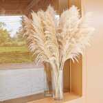 10 Pampas Grass XXL, Deko Gross für Boho DekoWohnzimmer Tisch Schlafzimmer Hochzeits Badezimmer (100cm) 100cm-10-A 5