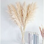 10 Pampas Grass XXL, Deko Gross für Boho DekoWohnzimmer Tisch Schlafzimmer Hochzeits Badezimmer (100cm) 100cm-10-A 6