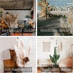 10 Pampas Grass XXL, Deko Gross für Boho DekoWohnzimmer Tisch Schlafzimmer Hochzeits Badezimmer (100cm) 100cm-10-A 7