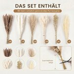 BOSONER Pampasgras Trockenblumen Boho Deko: 80-teiliges Trockenblumenstrauß Set mit natürlichen getrockneten Pampas Gras Pl 2