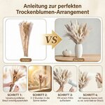 BOSONER Pampasgras Trockenblumen Boho Deko: 80-teiliges Trockenblumenstrauß Set mit natürlichen getrockneten Pampas Gras Pl 4