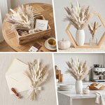 BOSONER Pampasgras Trockenblumen Boho Deko: 80-teiliges Trockenblumenstrauß Set mit natürlichen getrockneten Pampas Gras Pl 7