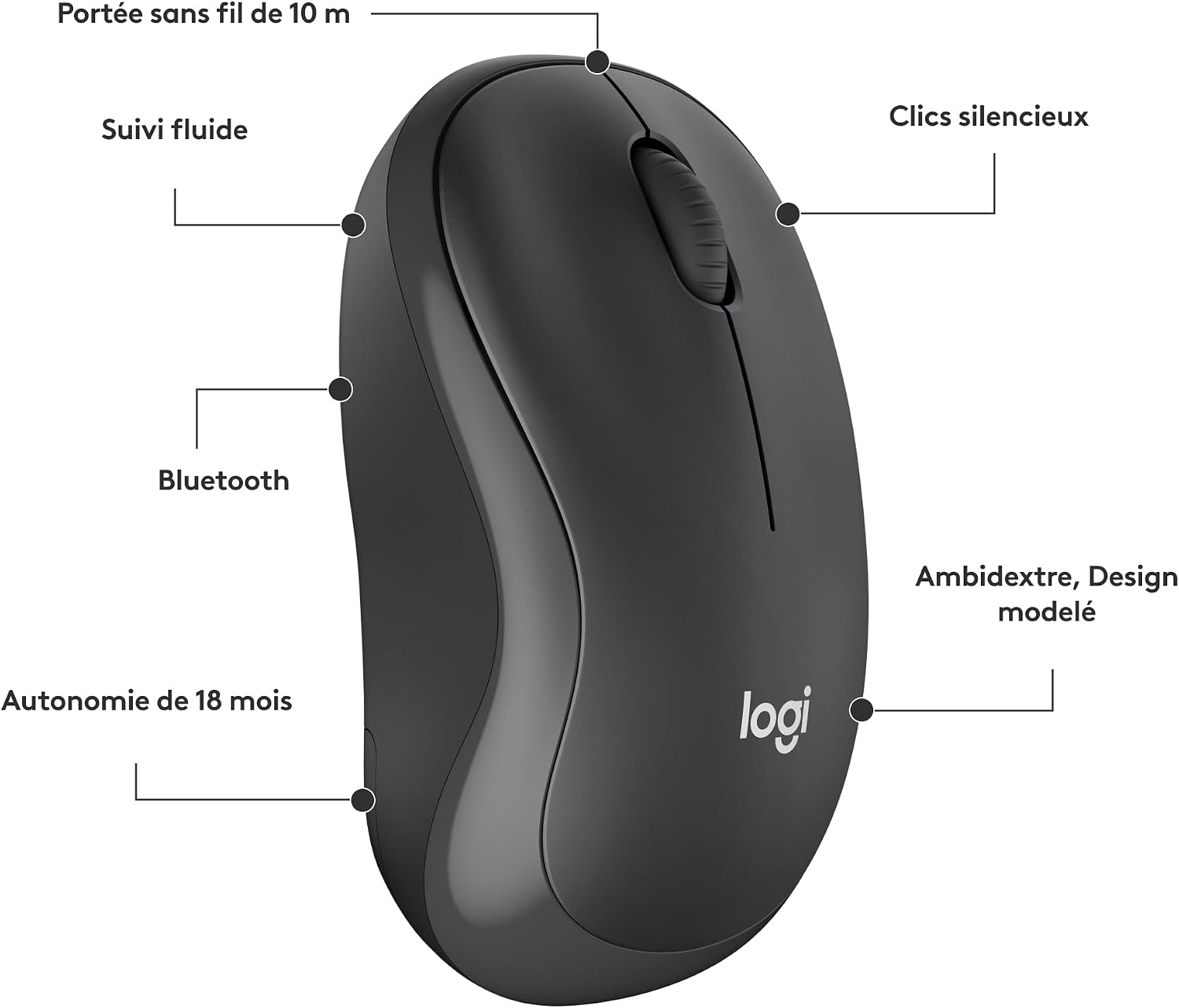 Schéma de la souris : boutons, molette et dimensions