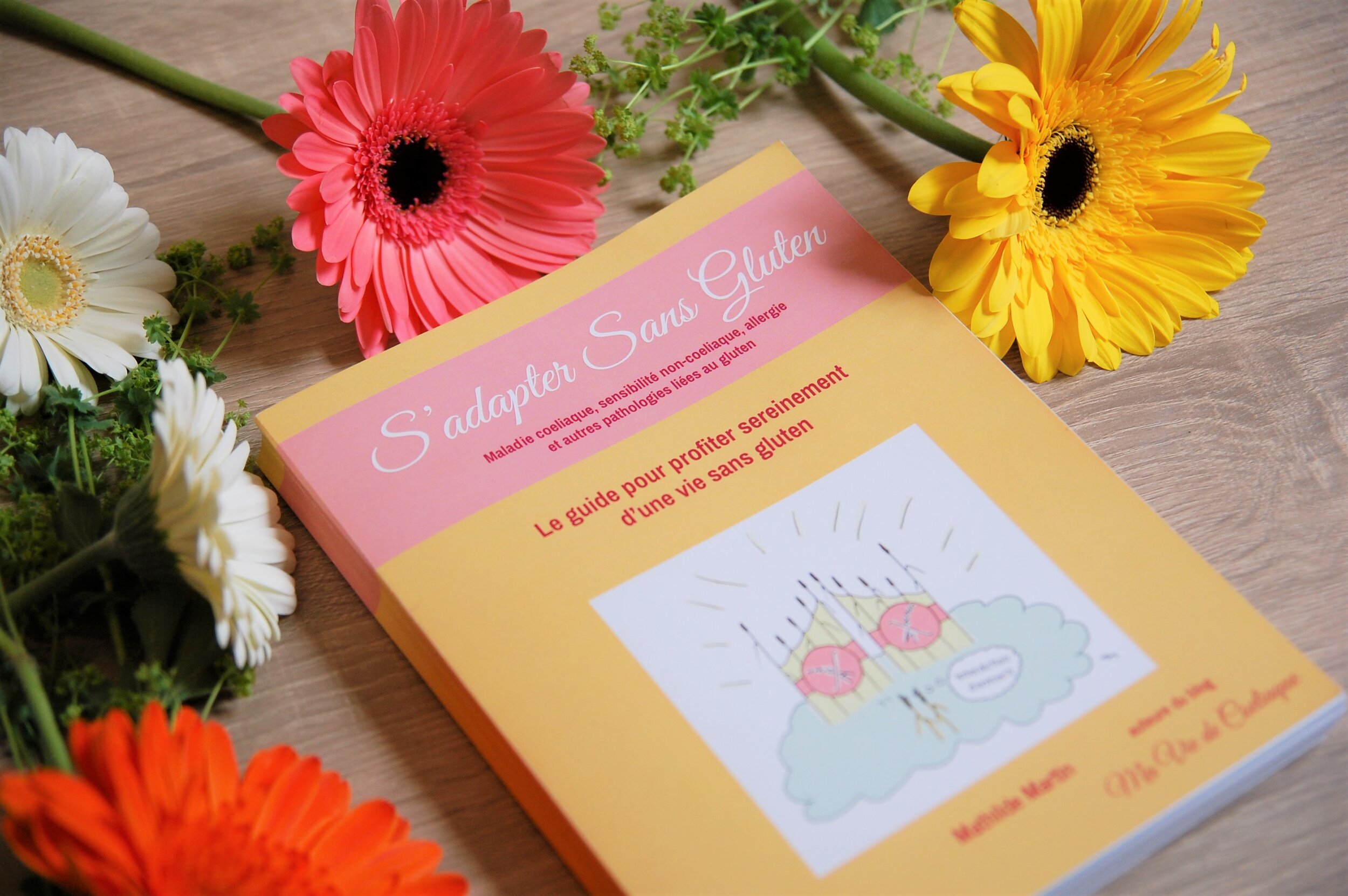 photo livre sadapter