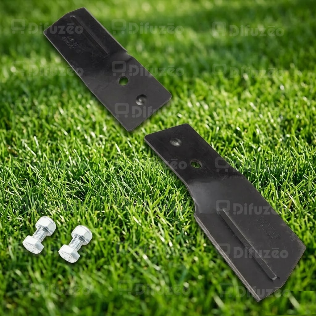 24184