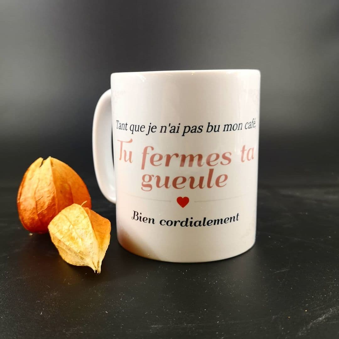 Sweat à Capuche Humour 'Ferme Ta Gueule' – Coupe Classique, 241 G, Col Tissé, Cadeau Drôle