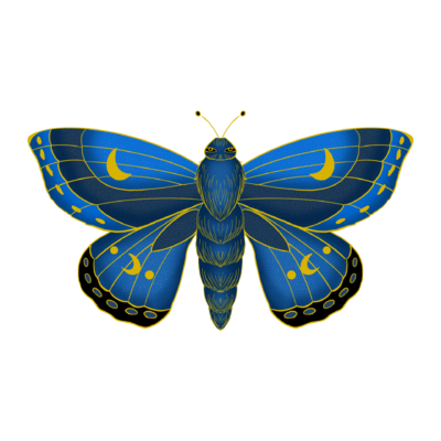 Papillon de nuit