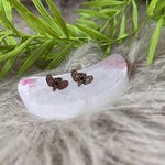 IMG_4577