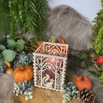 IMG_4402