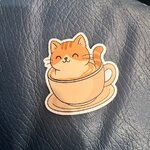 IMG_2460