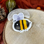 IMG_4556 (1)
