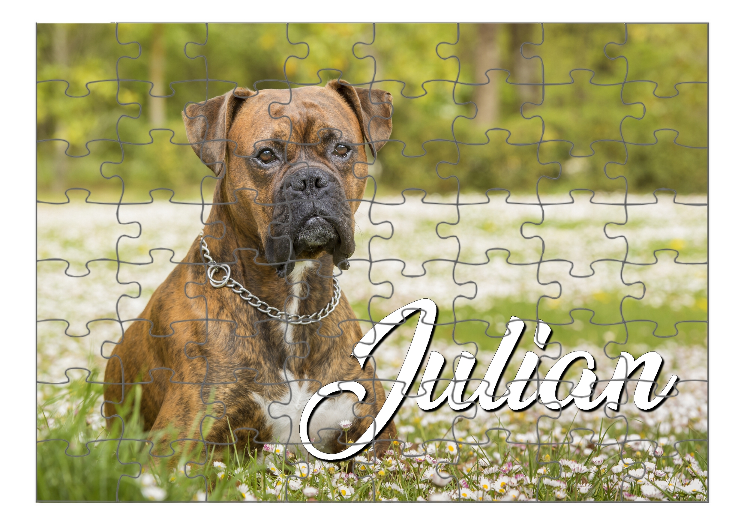 Puzzle Chien Boxer Personnalise Avec Prenom Taille Au Choix Jeu Jouet Puzzle Mimi Cadeau