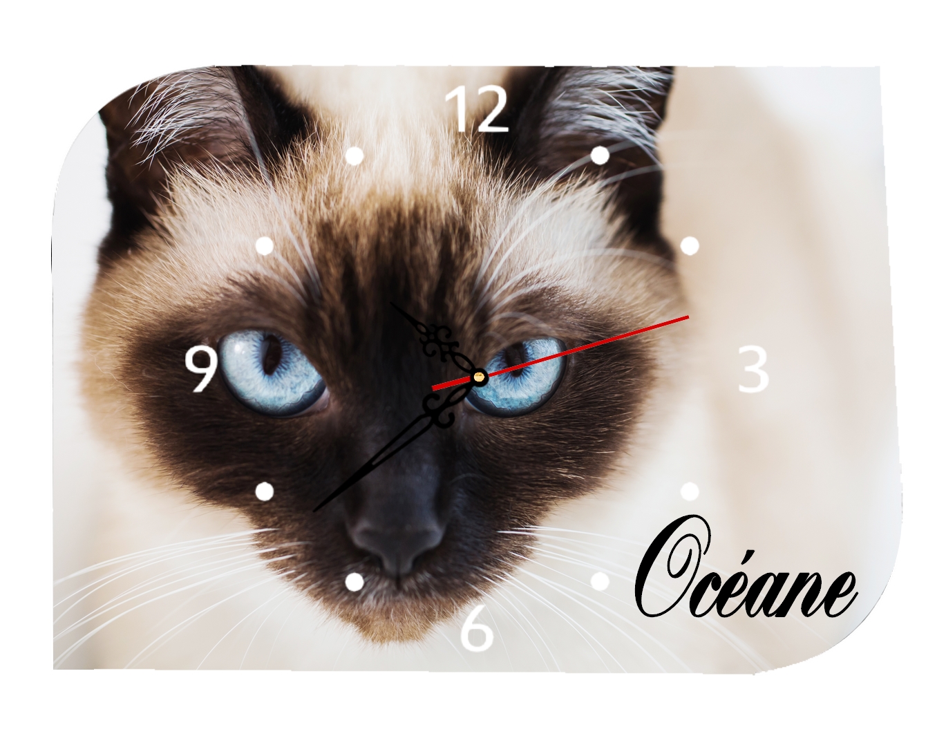 Pendule Chat Siamois Personnalisee Avec Prenom Au Choix Deco Pendule Horloge Mimi Cadeau