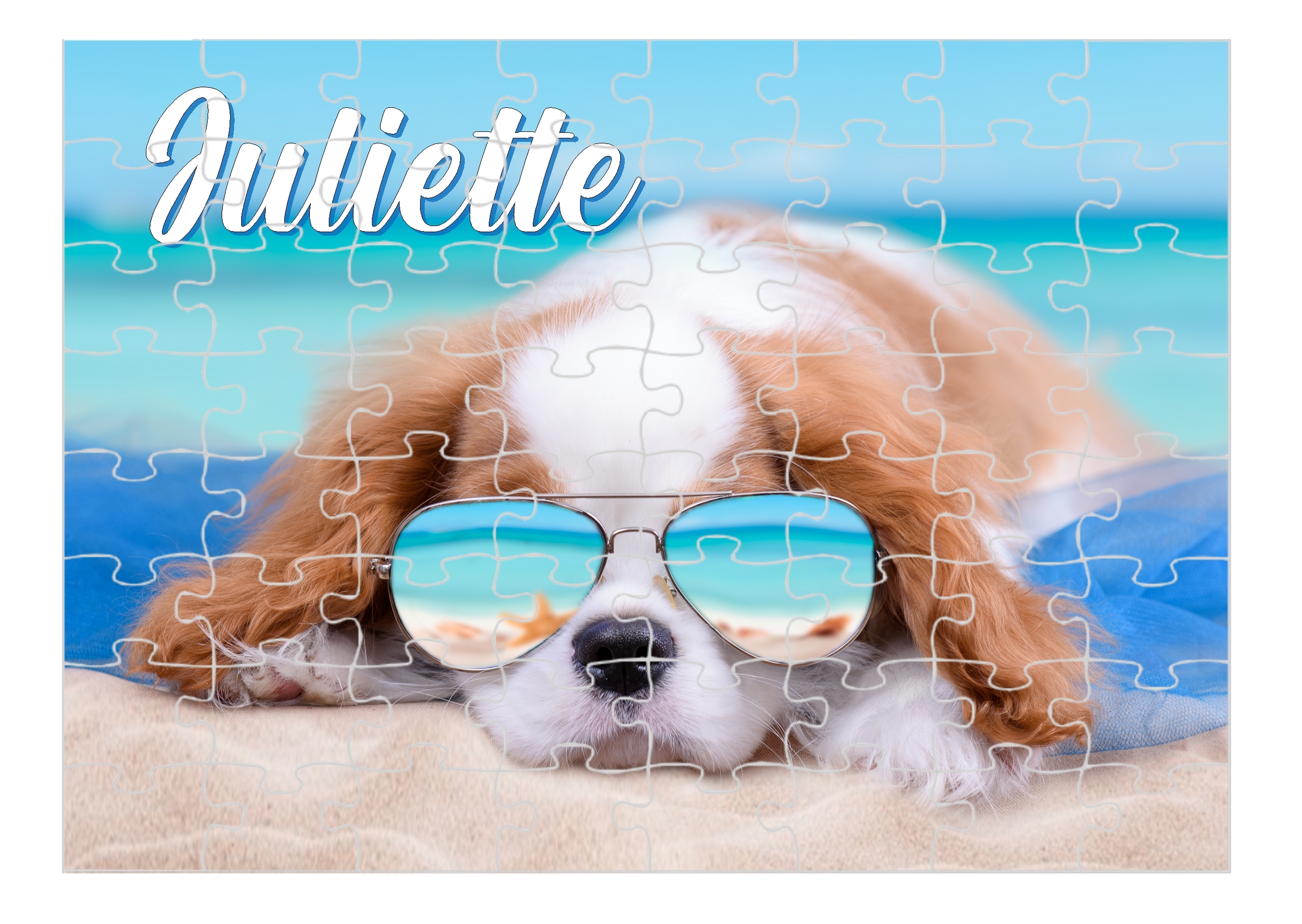 puzzle cavalier king charles 2