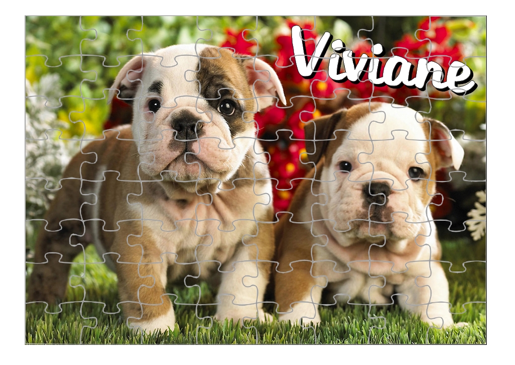 Puzzle Bouledogue Anglais Bulldog personnalisé avec prénom Taille au choix