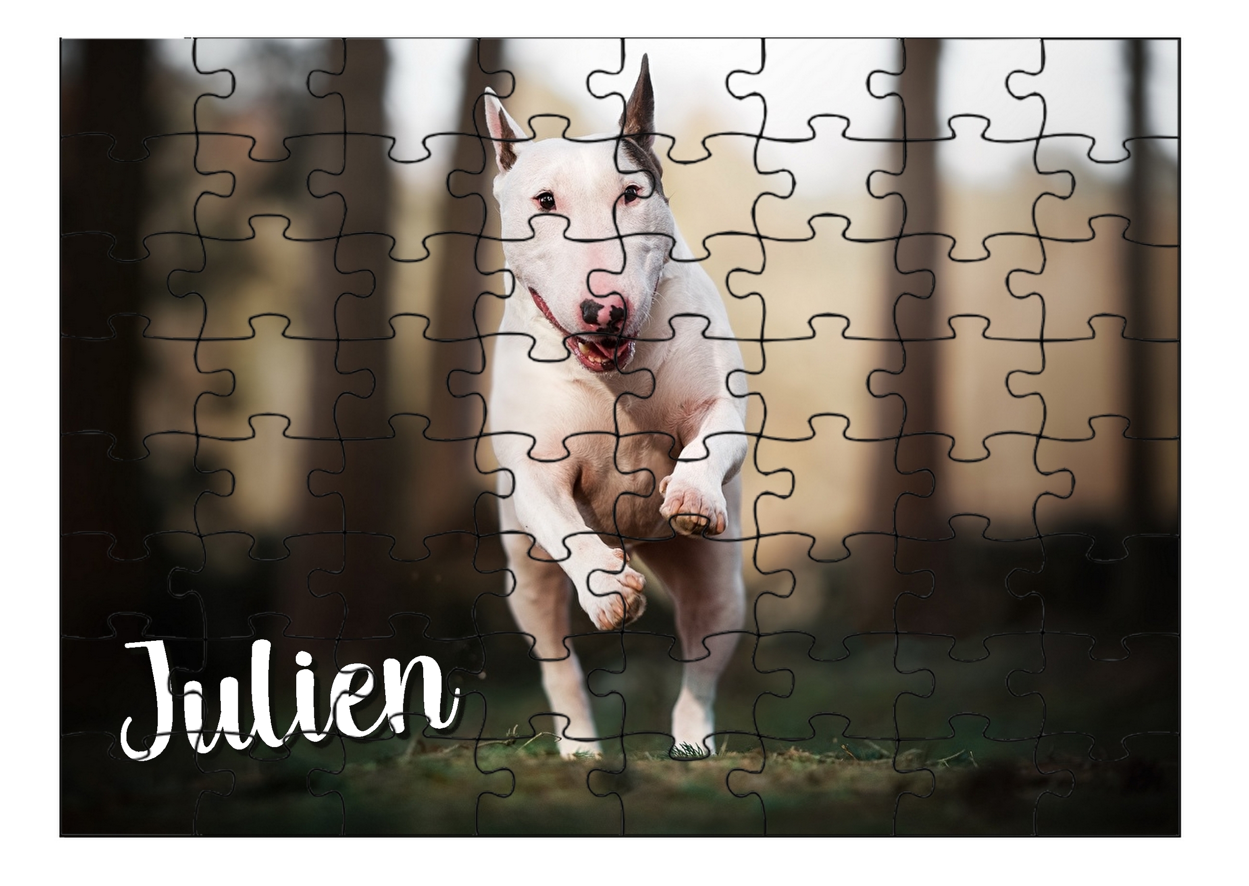 Puzzle Bull terrier personnalisé avec prénom Taille au choix