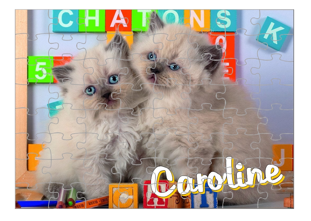 Puzzle Persans chatons personnalisé avec prénom Taille au choix
