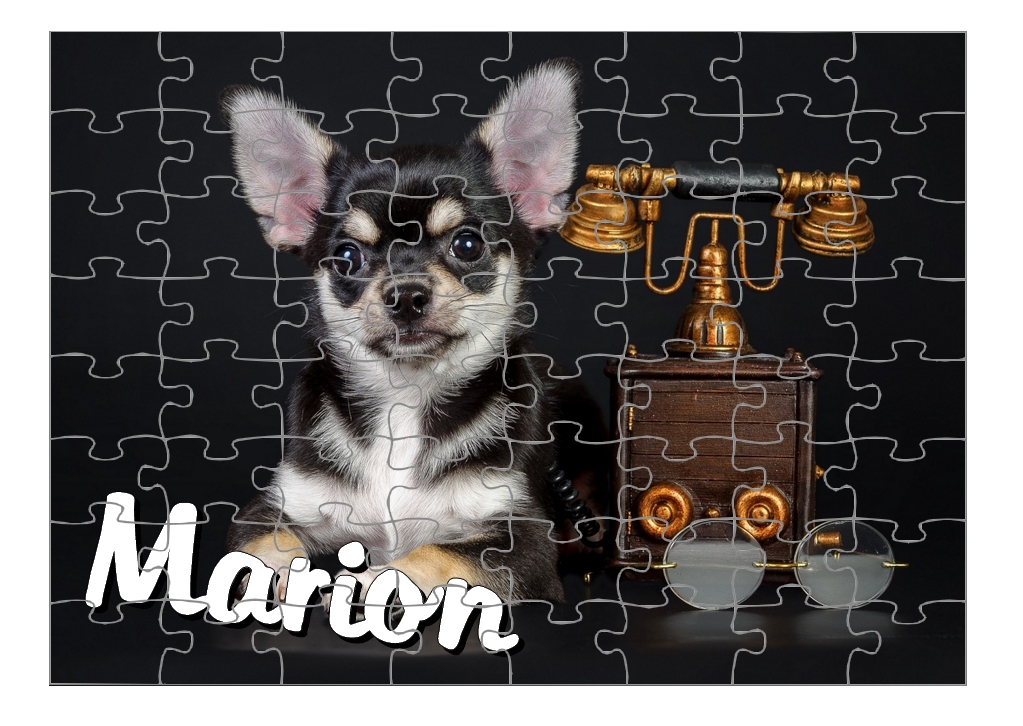 Puzzle Chihuahua personnalisé avec prénom Taille au choix