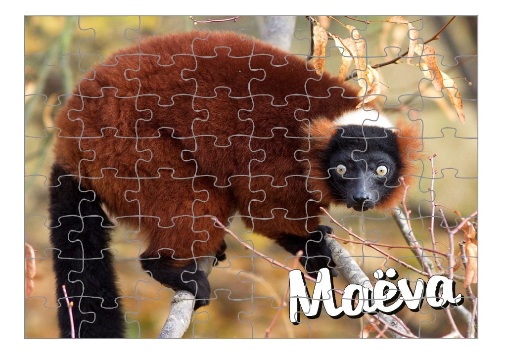 Puzzle Lémurien personnalisé avec prénom Taille au choix