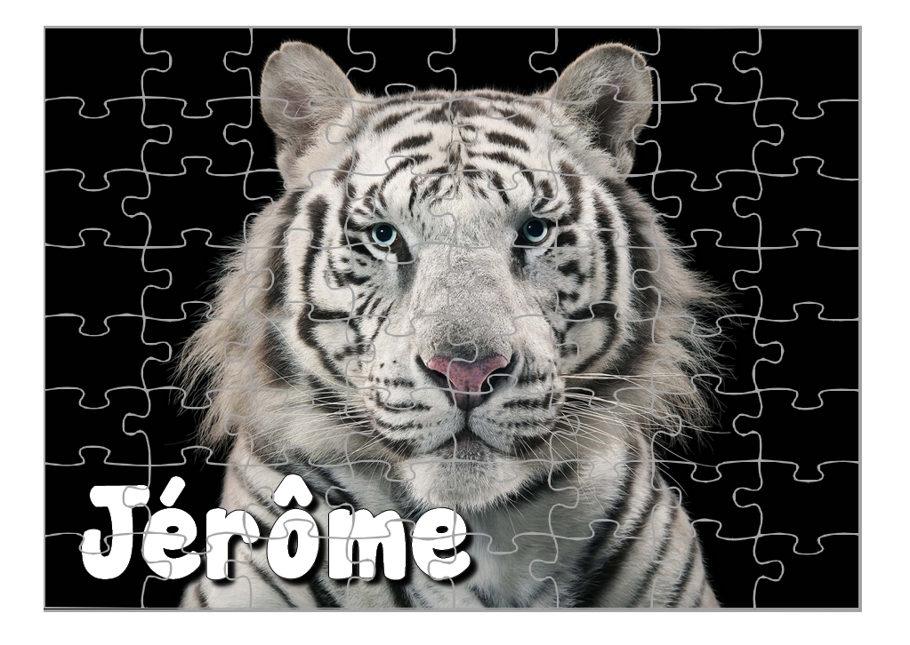 Puzzle Tigre blanc personnalisé avec prénom Taille au choix