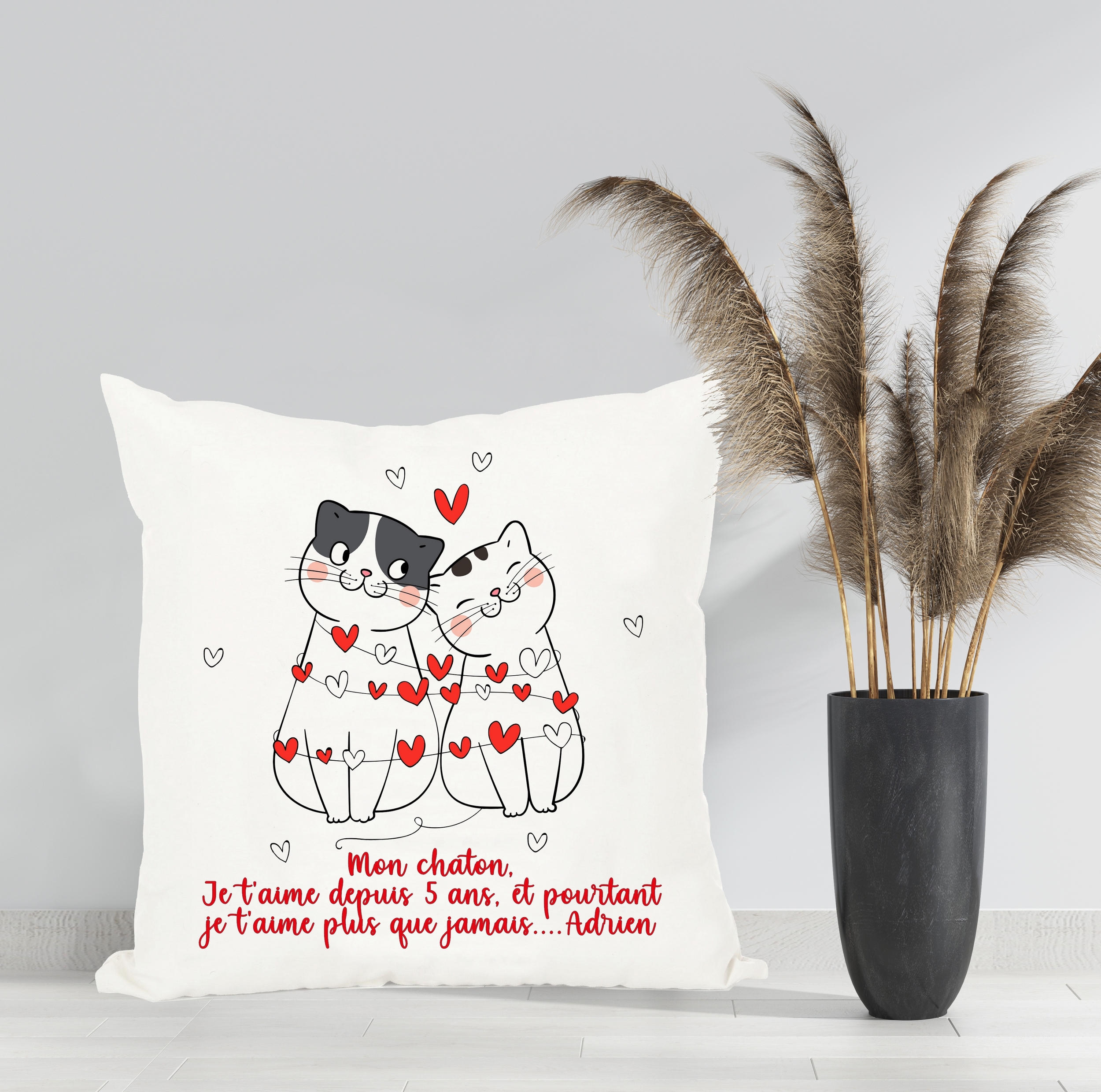 coussin st valentin chat