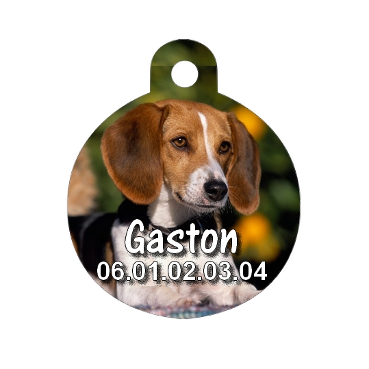 Médaille chien Beagle personnalisée avec nom et numéro de téléphone