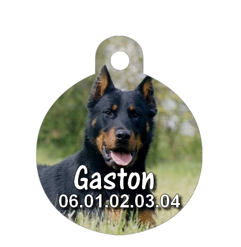 Médaille chien Beauceron personnalisée avec nom et numéro de téléphone