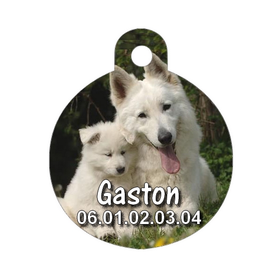 Médaille chien Berger blanc personnalisée avec nom et numéro de téléphone