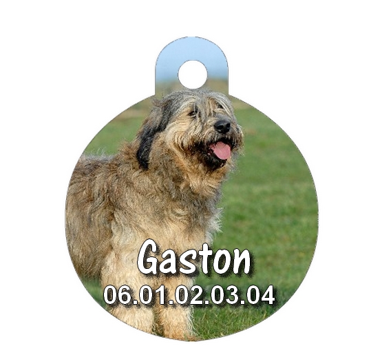 Médaille chien Berger des pyrénées personnalisée avec nom et numéro de téléphone