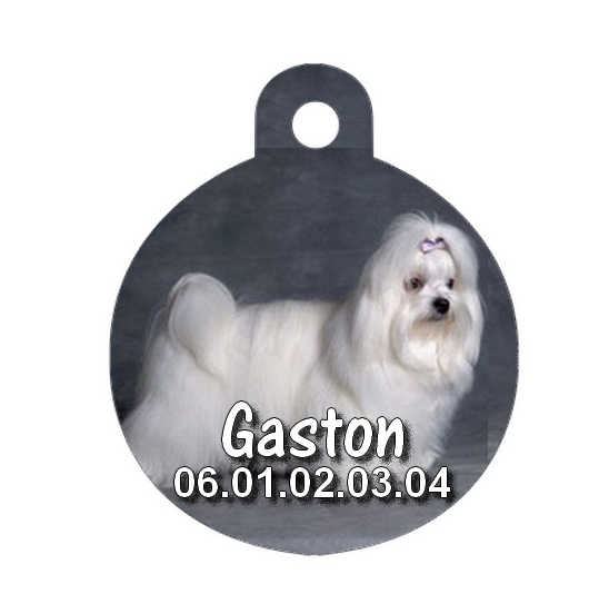 Médaille chien Bichon maltais personnalisée avec nom et numéro de téléphone