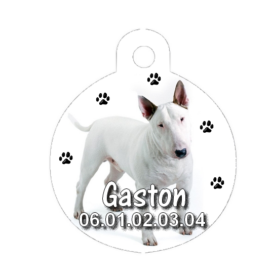 Médaille chien Bull terrier personnalisée avec nom et numéro de téléphone
