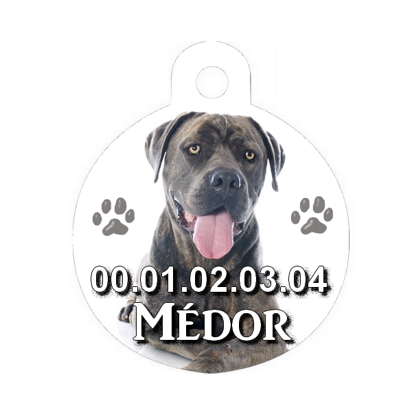 Médaille chien Cane corso personnalisée avec nom et numéro de téléphone
