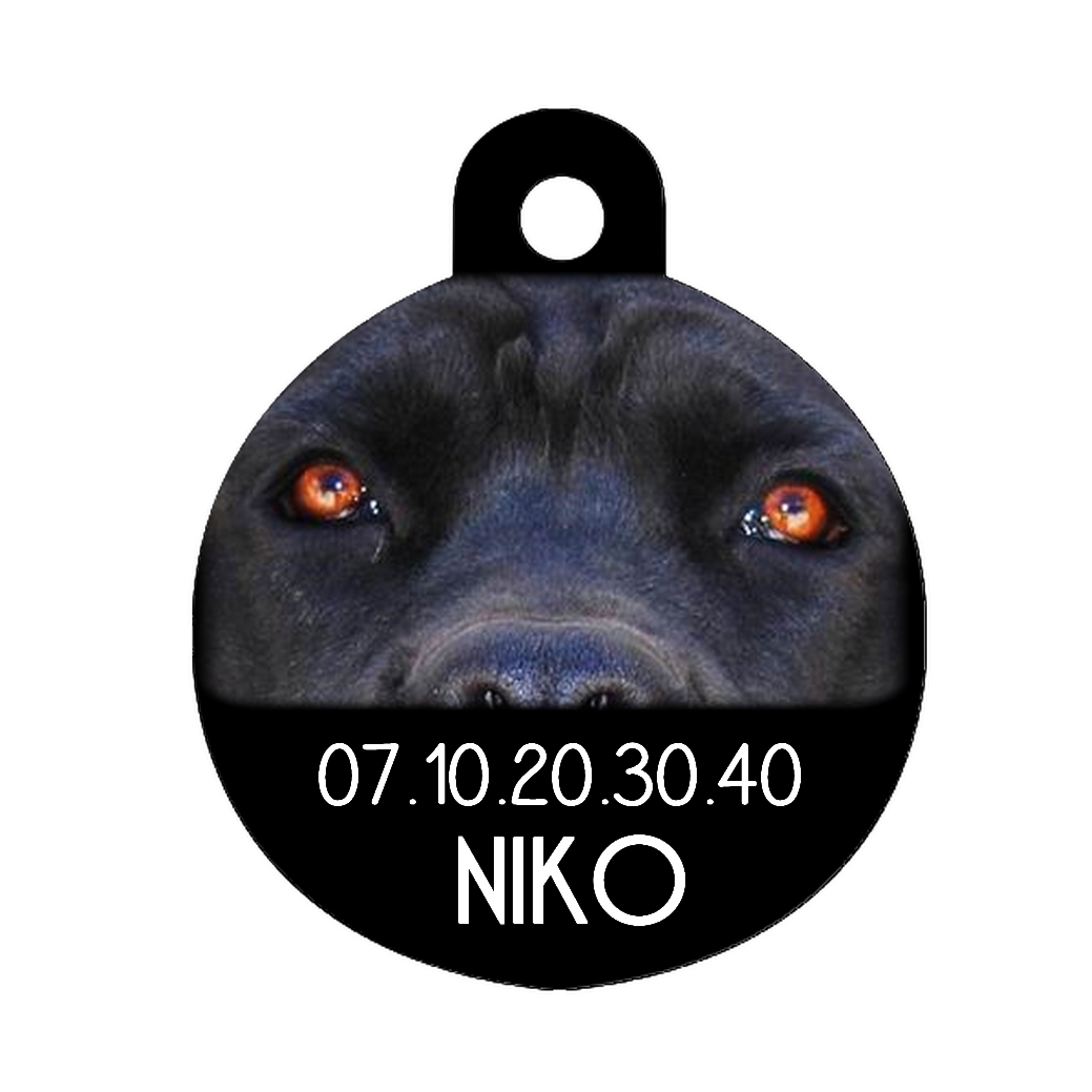 Médaille chien Cane corso personnalisée avec nom et numéro de téléphone