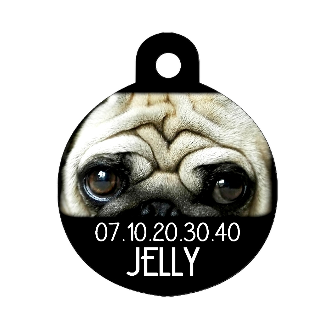 Médaille chien Carlin personnalisée avec nom et numéro de téléphone
