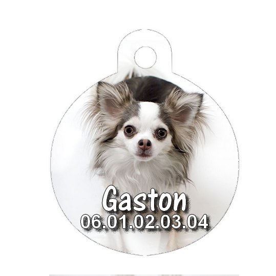 Médaille chien Chihuahua personnalisée avec nom et numéro de téléphone