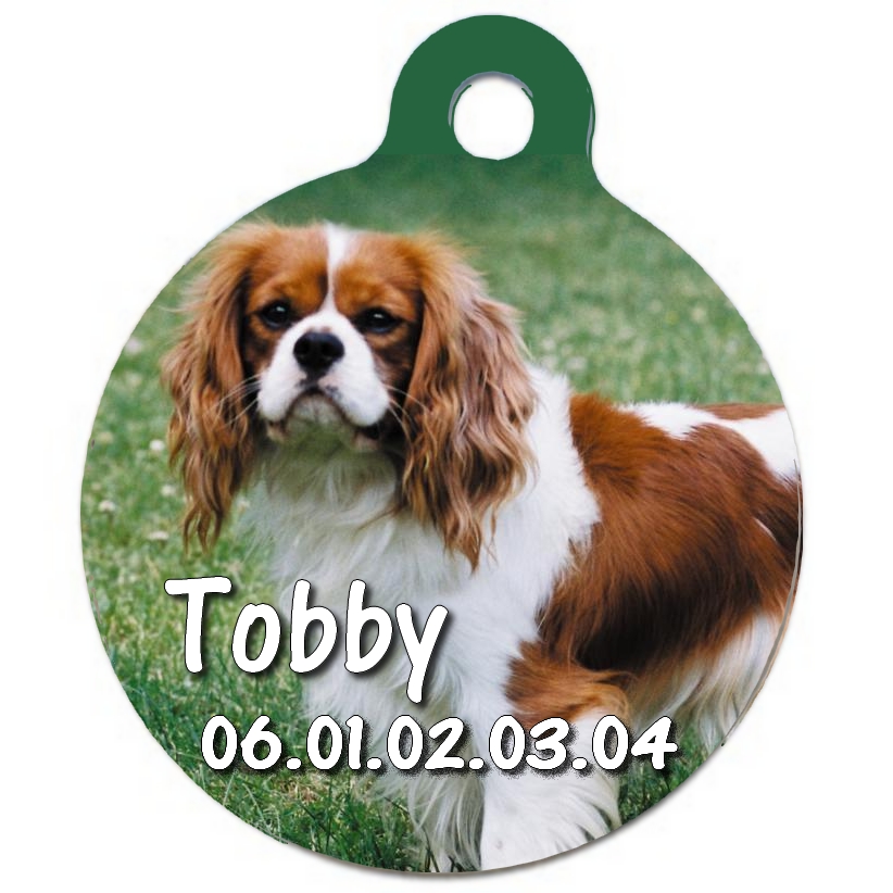 Médaille chien Cavalier king charles personnalisée avec nom et numéro de téléphone