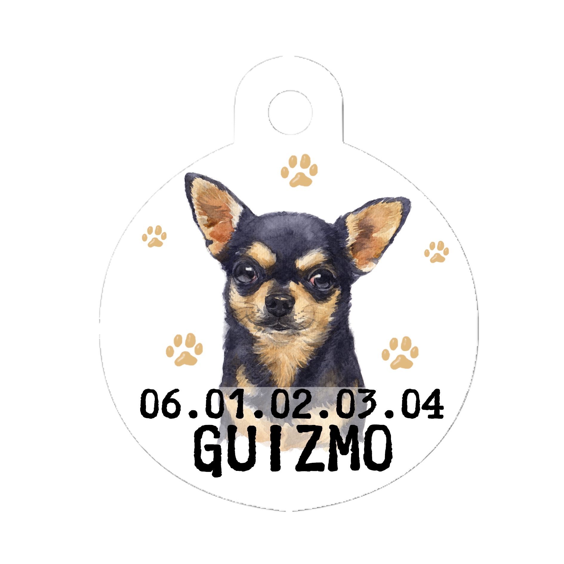 Médaille chien Chihuahua personnalisée avec nom et numéro de téléphone