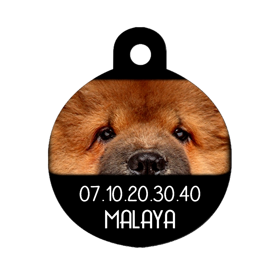Médaille chien Chow chow personnalisée avec nom et numéro de téléphone