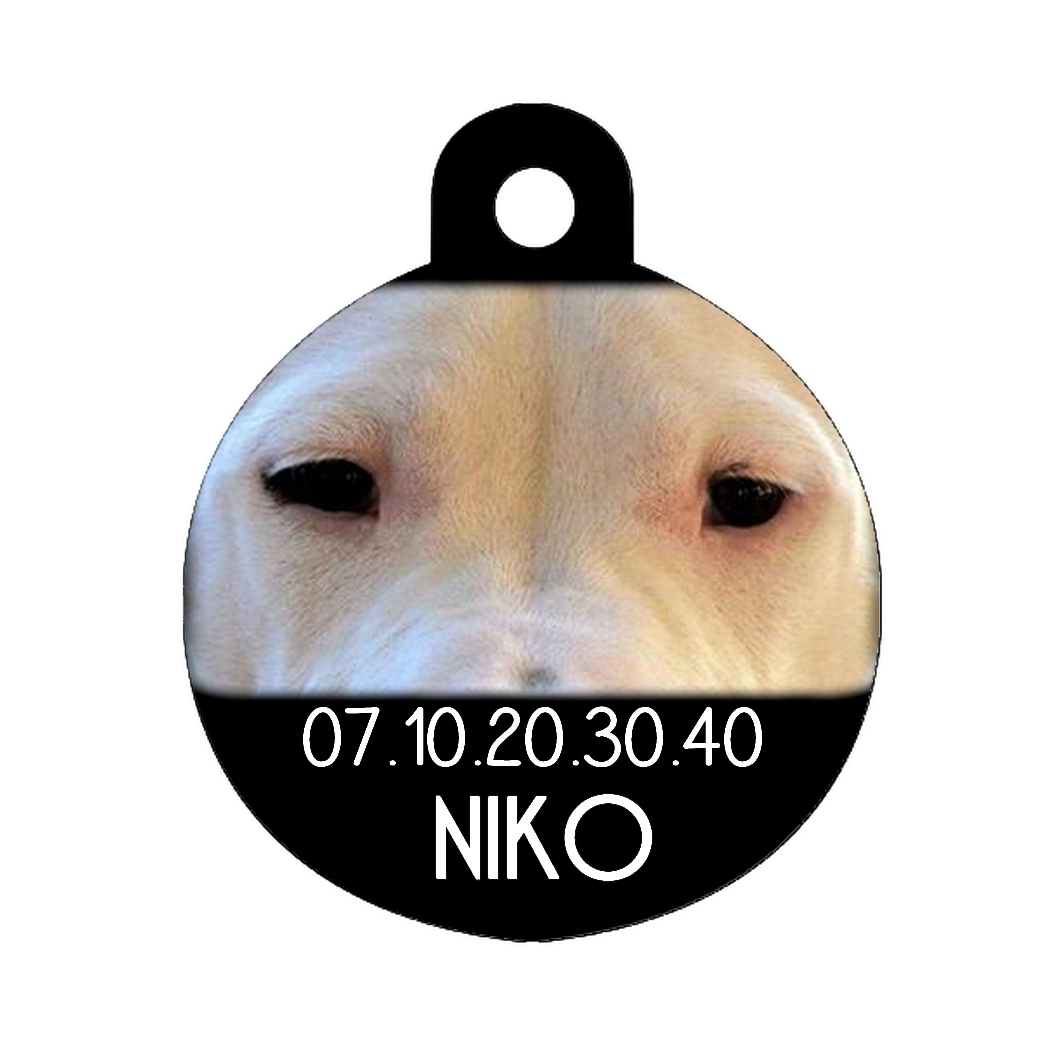 Médaille chien Dogue argentin personnalisée avec nom et numéro de téléphone