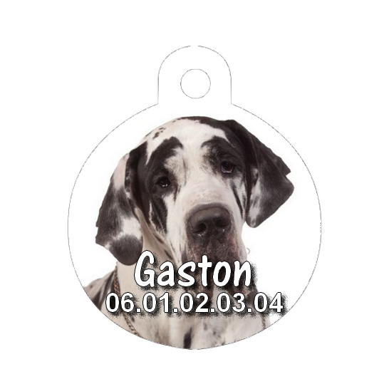 Médaille chien Dogue allemand personnalisée avec nom et numéro de téléphone