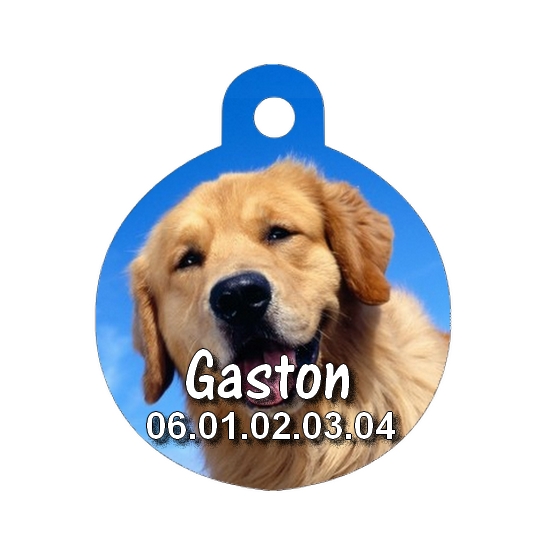 Médaille chien Golden retriever personnalisée avec nom et numéro de téléphone
