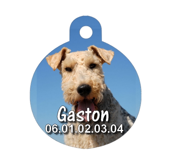 Médaille chien Fox terrier personnalisée avec nom et numéro de téléphone